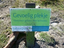 P1000936