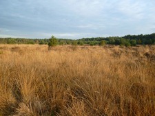 P1000964
