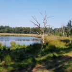 Papenvoort 2 20200812_115403