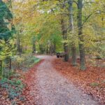 Doorn 20201101_112545