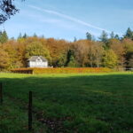 Uddel 20201106_104836