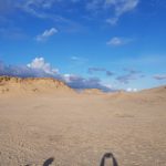 Vogelmeer 20230311_170721