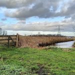 Vlist - Ouderkerk aan den IJssel IMG20241220134635