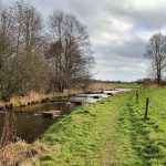 Twentse beken IMG20250207121906