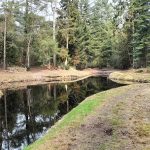 Baarn Pannekoekvijver IMG20250215124347