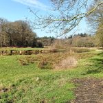 Ommen Besthem IMG20250226114151