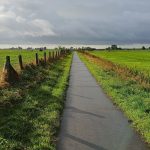 Rinsumageest - Leeuwarden IMG20250912091933