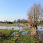 Wageningen - Rhenen IMG20260227103804