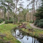 Doorn - Driebergen-Zeist IMG20260327134057