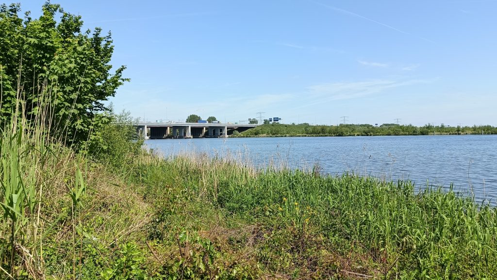 Brug van de A6 over het water, gezien vanuit rietoever met groen langs het wandelpad