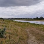 Berg aan de Maas - Ohé en Laak IMG20260614111501