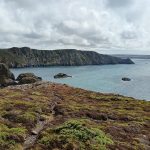 Strumble Head IMG20260804153855