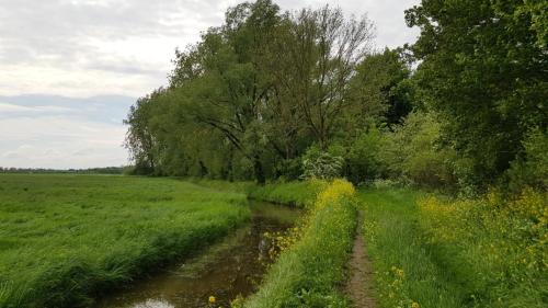 Hoge Maatsteeg