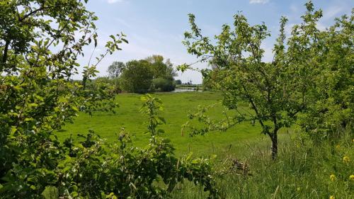 Appeldijk