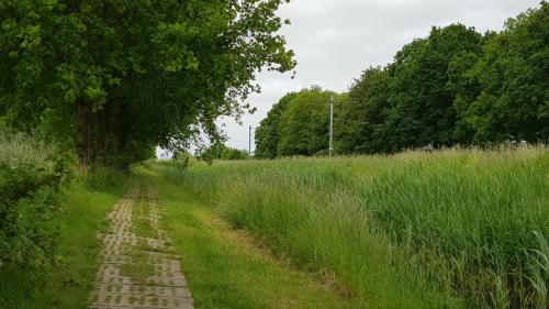 Pad langs spoorlijn Geldermalsen – Dordrecht