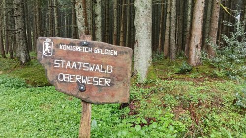 Staatswald Oberweser