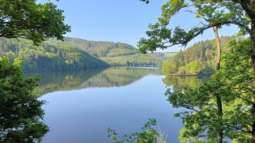Obersee