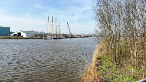 Harlingen