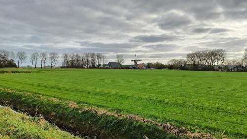 Vrouwbuurtstermolen