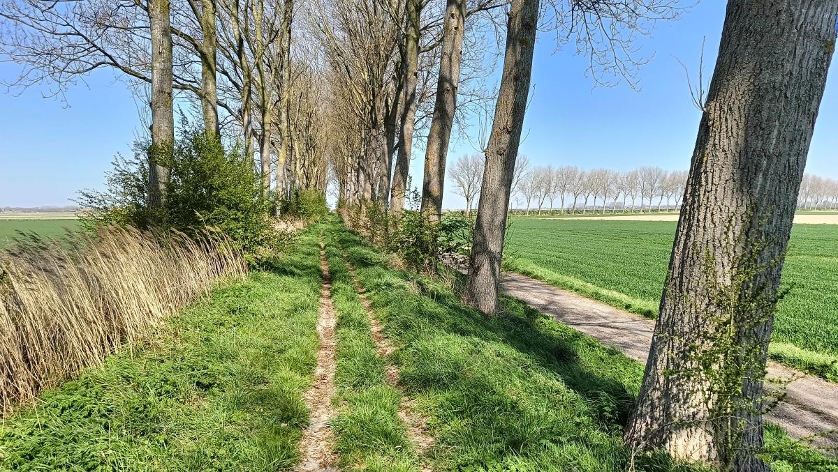 Weg om den Paspolder