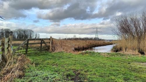 Graafkade Berkenwoude