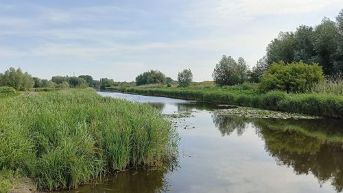 Poldervaart