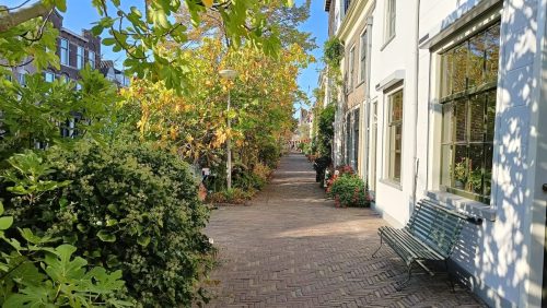 Delft - Buitenwatersloot