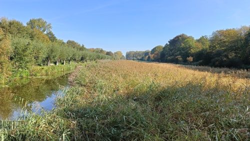 Delftse Hout