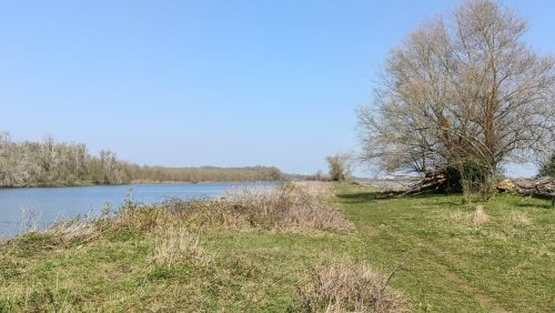 Hochter Bampd