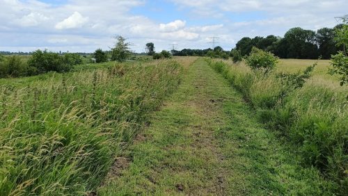 Natuurgebied De Rug