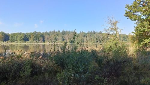 Natuurgebied Zwarte Water