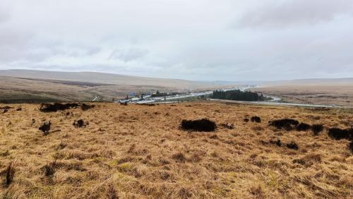 M62 