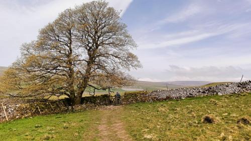 Great Hill