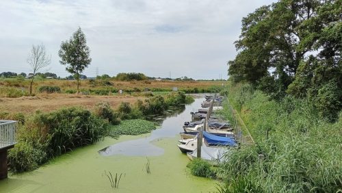 Bielheimerbeek