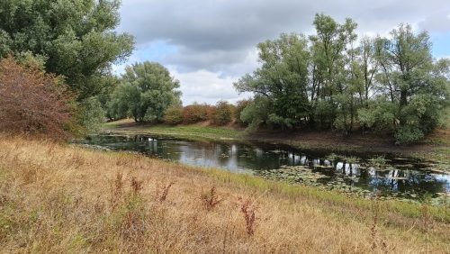 Geuzenwaard