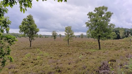 Renderklippen