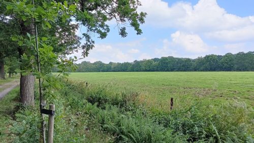 Tongeren