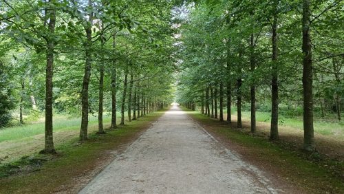 Park Cannenburgh