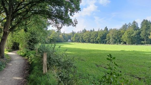 Bruisbeek