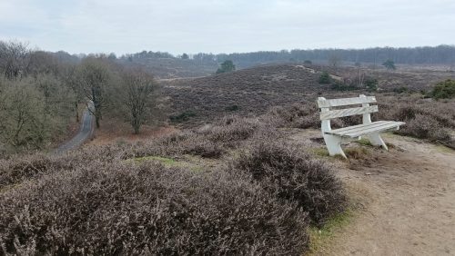 Herikhuizerveld
