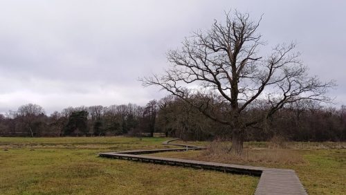 Renkums Beekdal