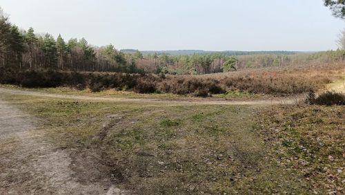 Elsterberg