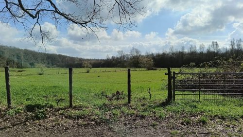 Uitzicht op Amerongse Bovenpolder