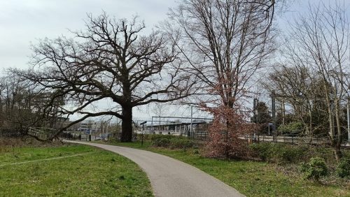 Station Driebergen-Zeist