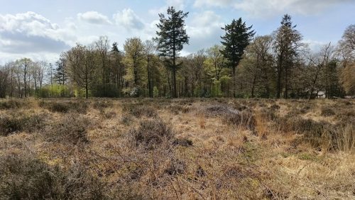 Hoge Vuursche