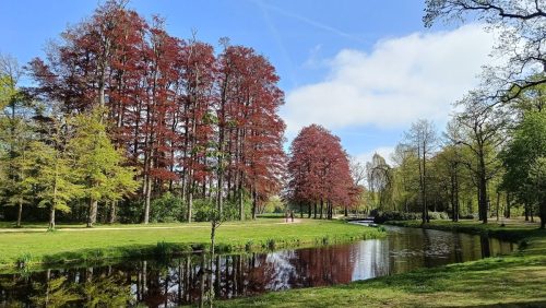 Landgoed Groeneveld