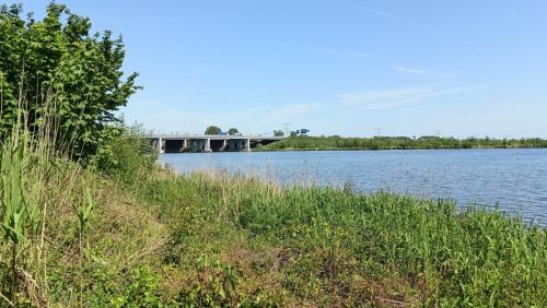 Naarderbos – A6