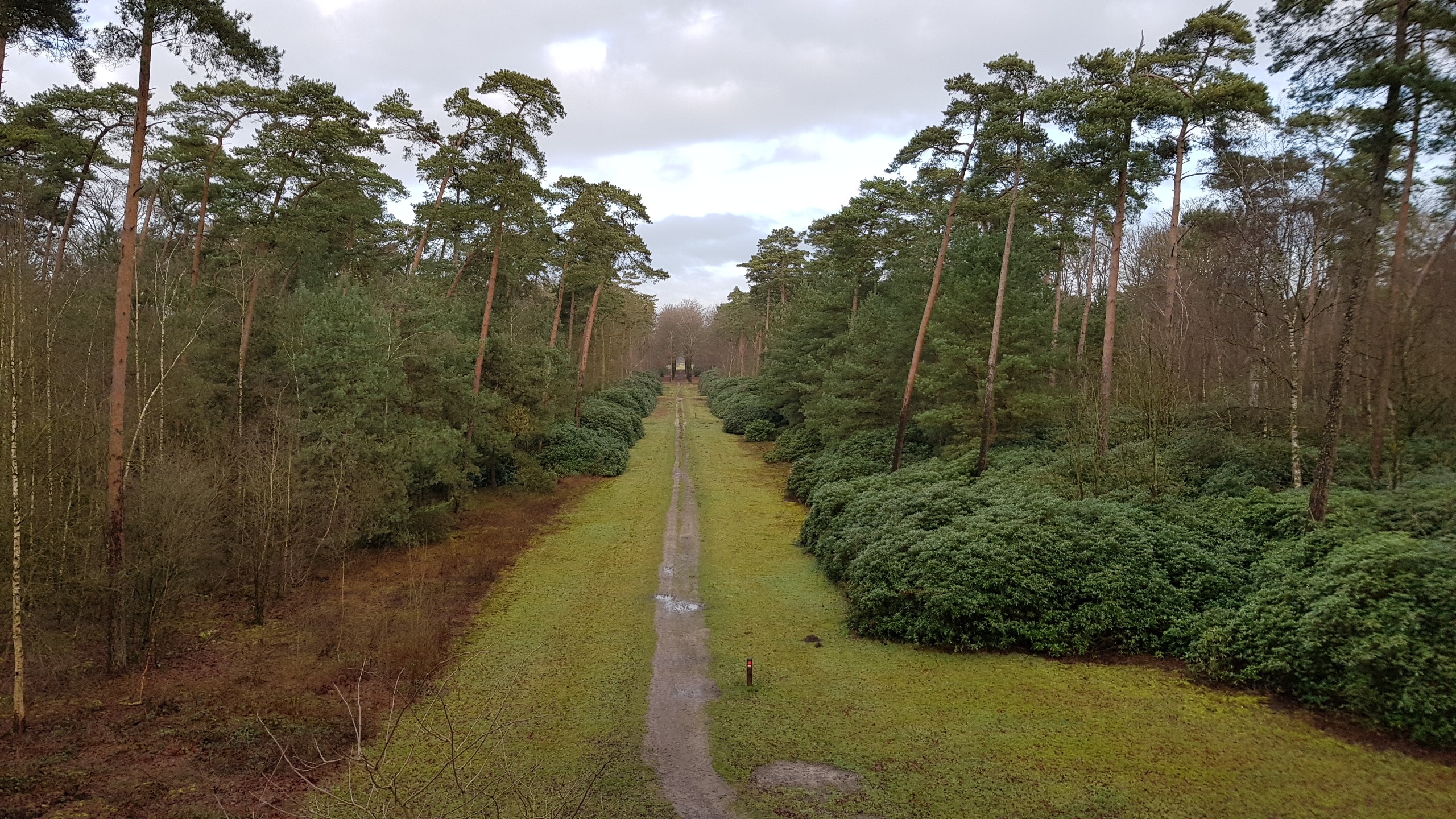 Uitzicht vanaf theehuis De Gloriëtte