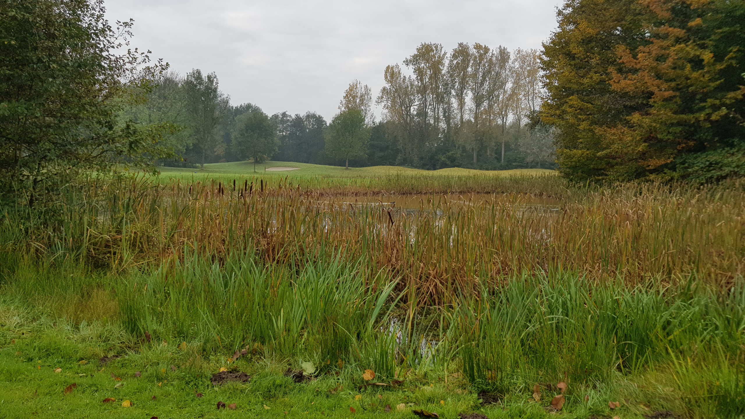 Golfterrein Kasteel Bossenstein