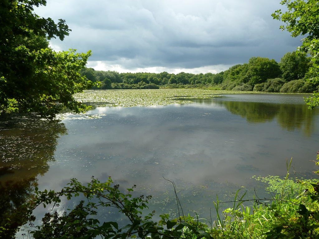Etang de la Renouilliere